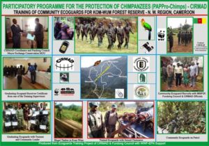 CIRMAD's PAPPro-Chimps - Wildlife Law enforcement component