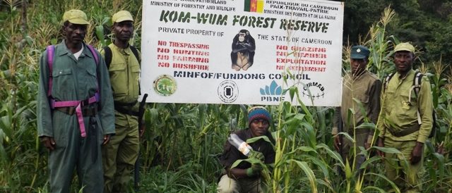 Some of the CIRMAD trained and managed community ecoguards for Kom-Wum Forest Reserve